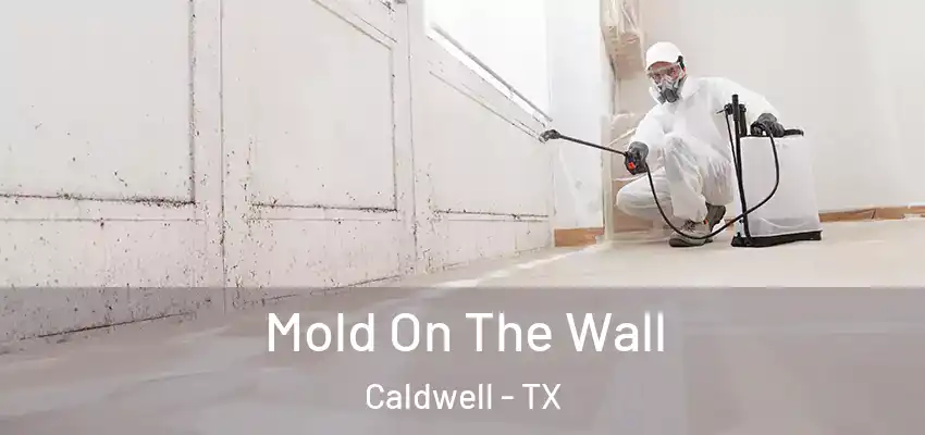  Mold On The Wall Caldwell - TX