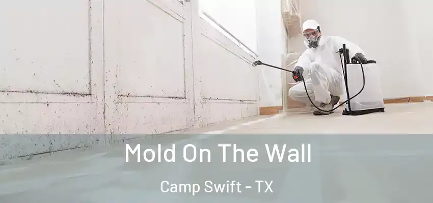  Mold On The Wall Camp Swift - TX