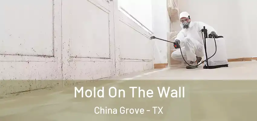  Mold On The Wall China Grove - TX