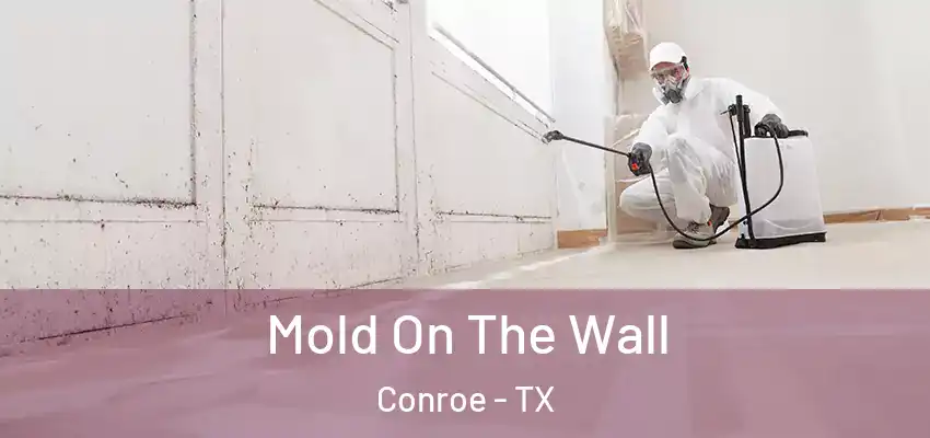  Mold On The Wall Conroe - TX