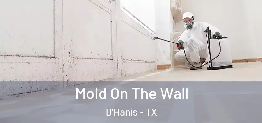  Mold On The Wall D'Hanis - TX