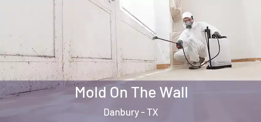  Mold On The Wall Danbury - TX