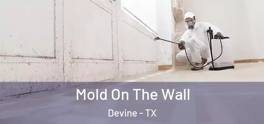  Mold On The Wall Devine - TX