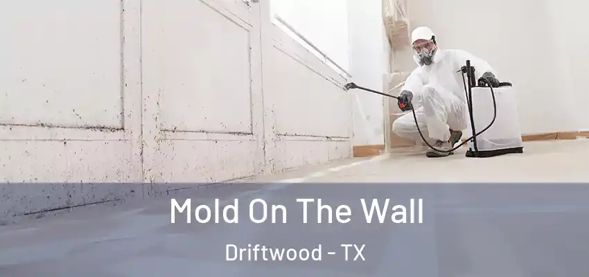  Mold On The Wall Driftwood - TX