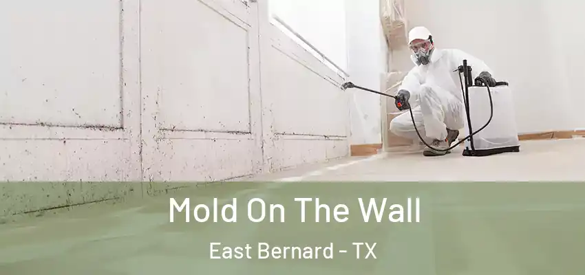  Mold On The Wall East Bernard - TX