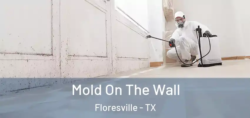 Mold On The Wall Floresville - TX