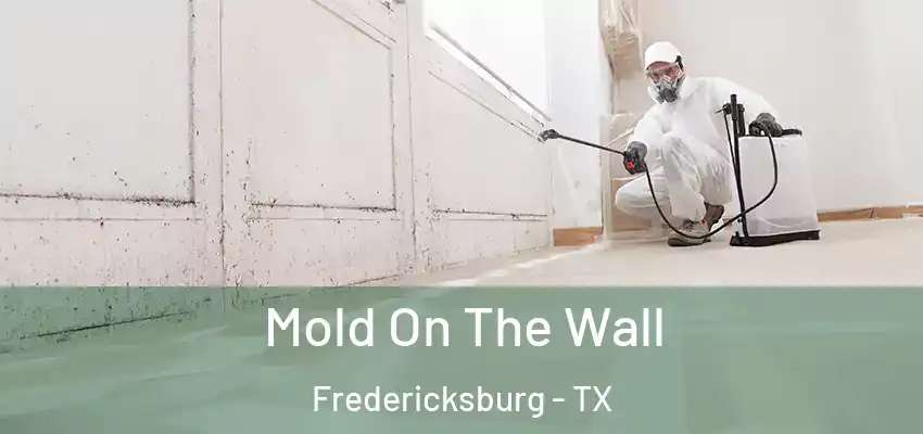  Mold On The Wall Fredericksburg - TX