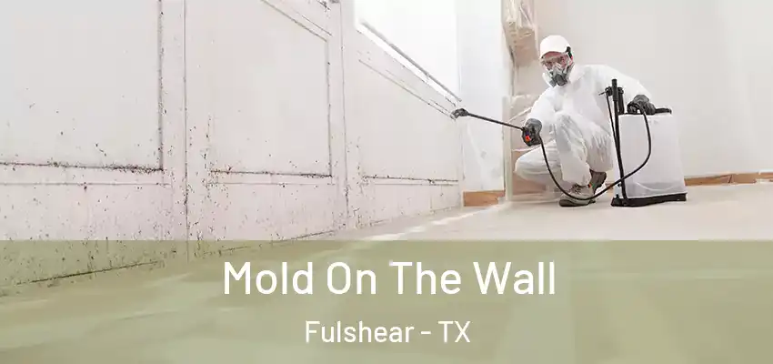  Mold On The Wall Fulshear - TX