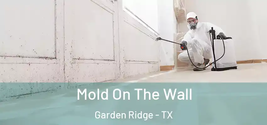  Mold On The Wall Garden Ridge - TX