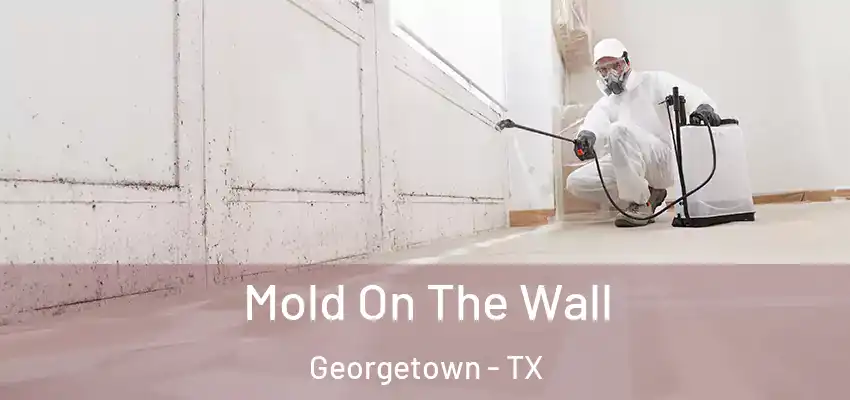  Mold On The Wall Georgetown - TX