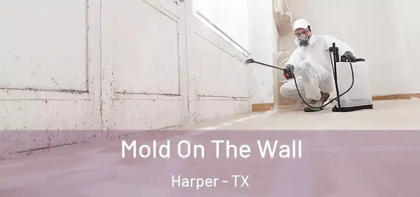  Mold On The Wall Harper - TX