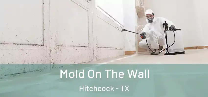  Mold On The Wall Hitchcock - TX