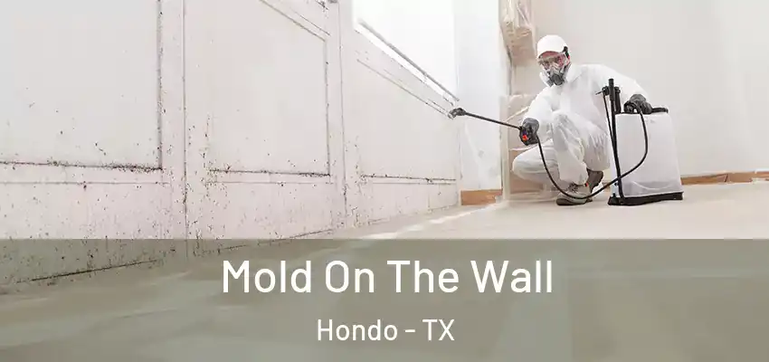  Mold On The Wall Hondo - TX