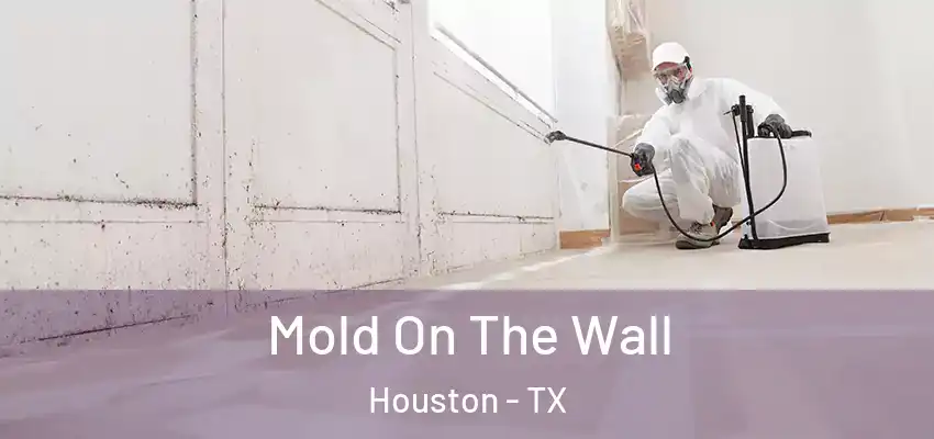  Mold On The Wall Houston - TX