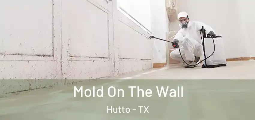  Mold On The Wall Hutto - TX