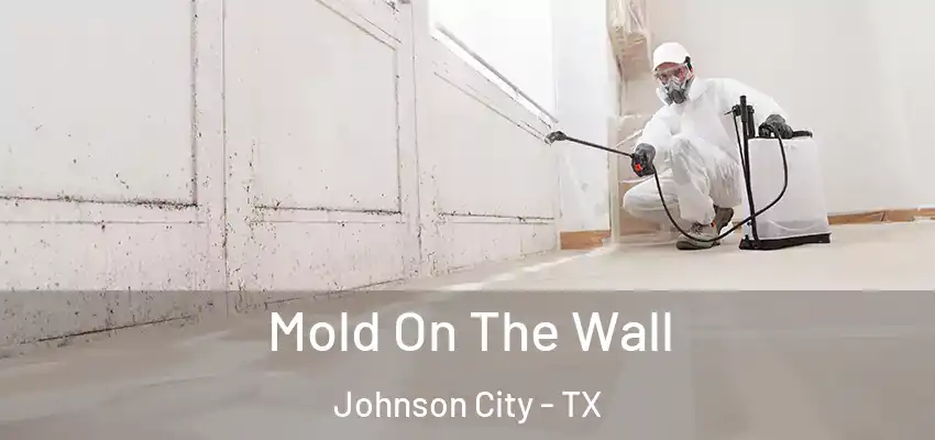  Mold On The Wall Johnson City - TX