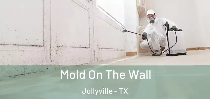  Mold On The Wall Jollyville - TX