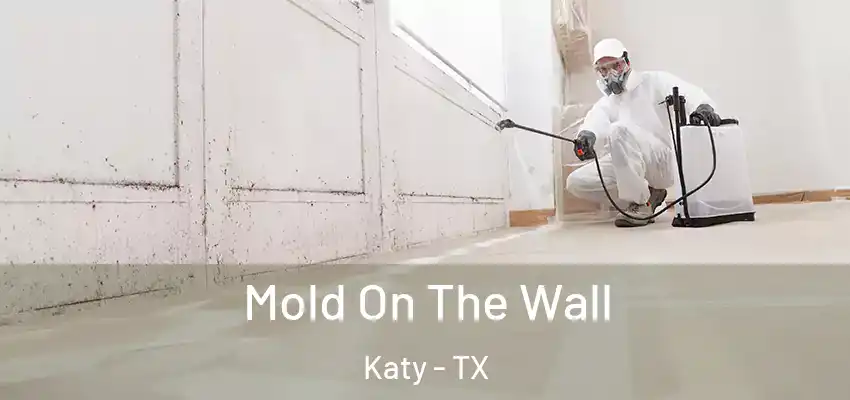  Mold On The Wall Katy - TX