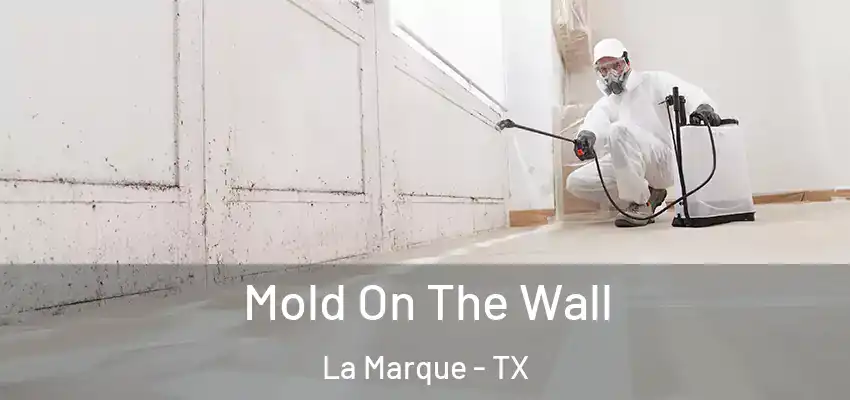  Mold On The Wall La Marque - TX