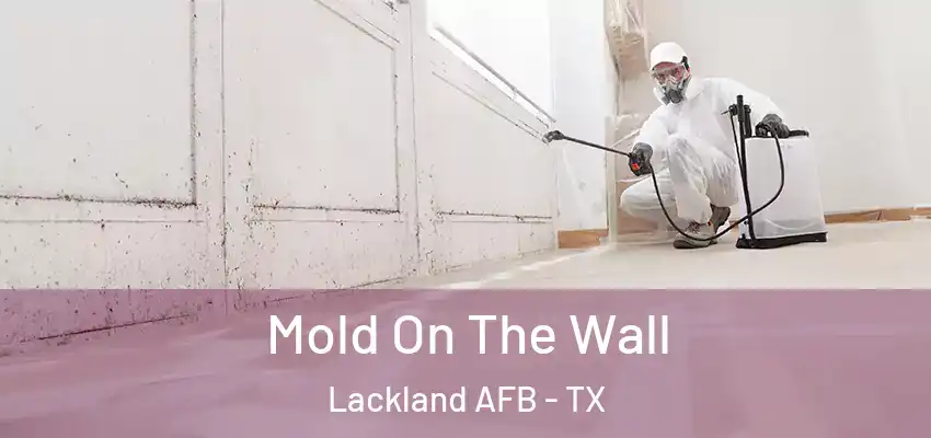  Mold On The Wall Lackland AFB - TX