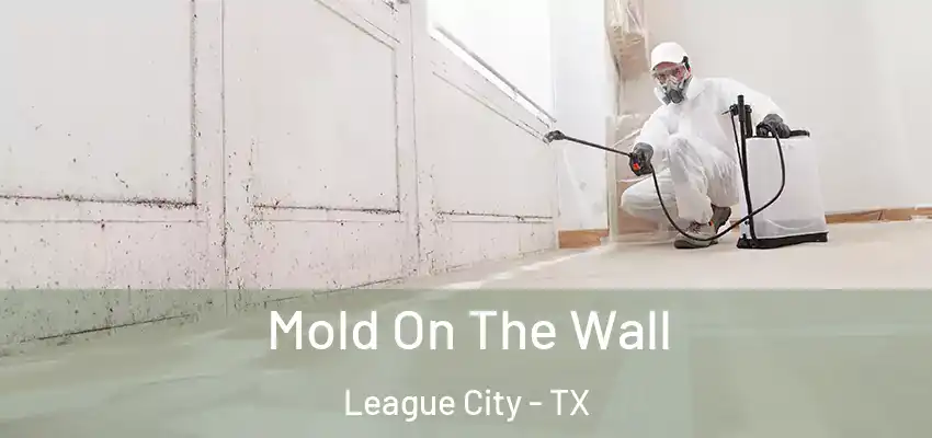  Mold On The Wall League City - TX