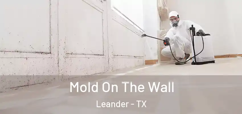  Mold On The Wall Leander - TX