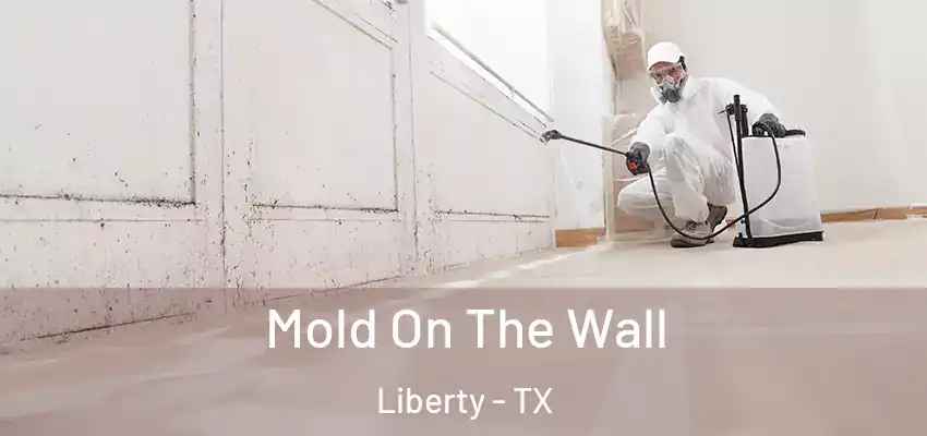  Mold On The Wall Liberty - TX
