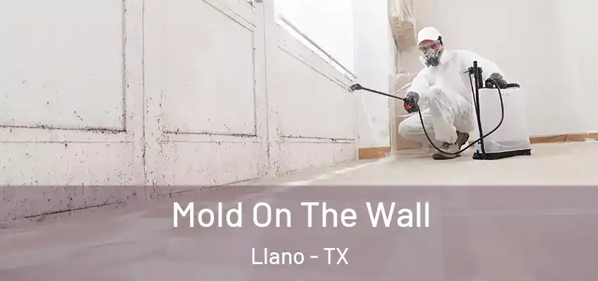  Mold On The Wall Llano - TX