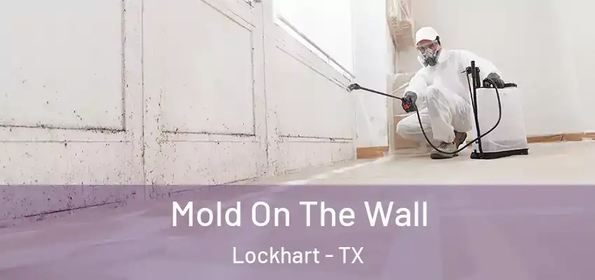  Mold On The Wall Lockhart - TX