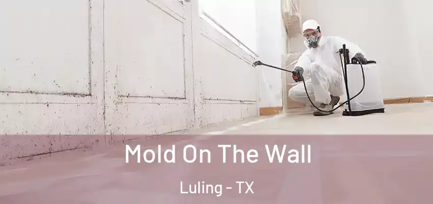  Mold On The Wall Luling - TX