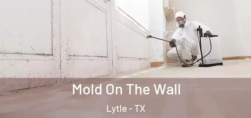  Mold On The Wall Lytle - TX