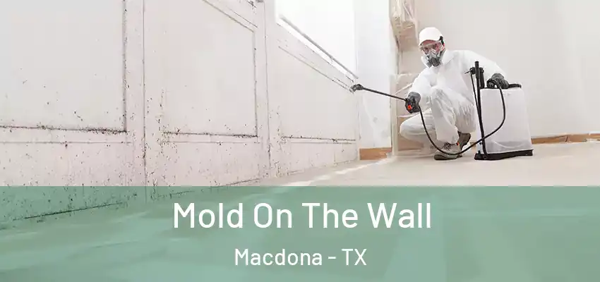  Mold On The Wall Macdona - TX
