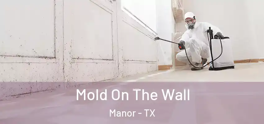  Mold On The Wall Manor - TX