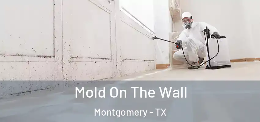  Mold On The Wall Montgomery - TX