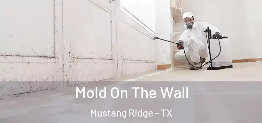  Mold On The Wall Mustang Ridge - TX