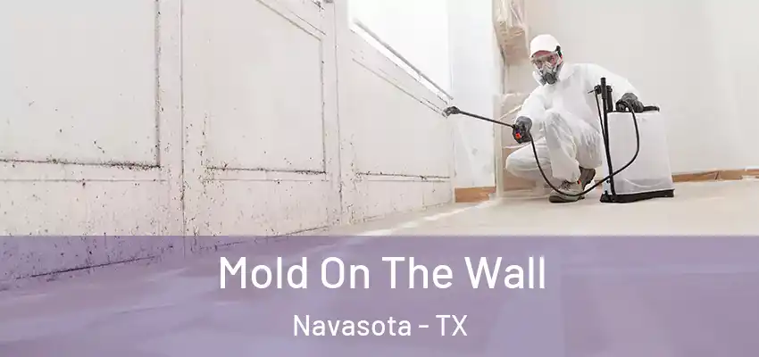  Mold On The Wall Navasota - TX