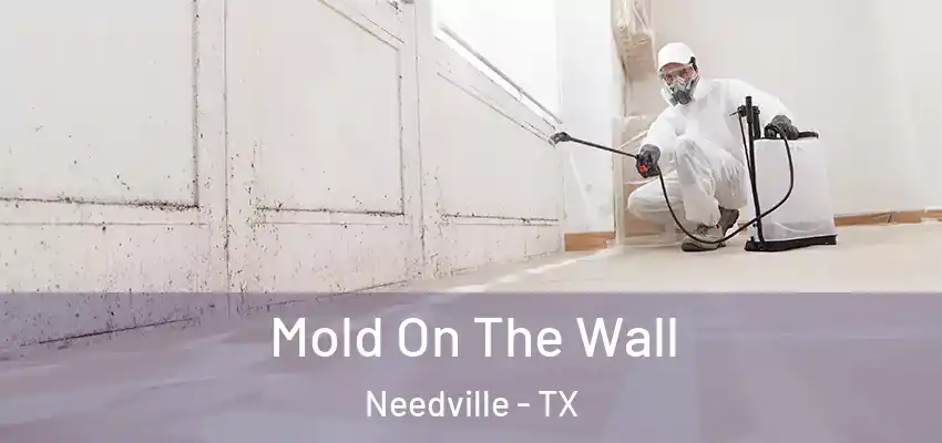  Mold On The Wall Needville - TX