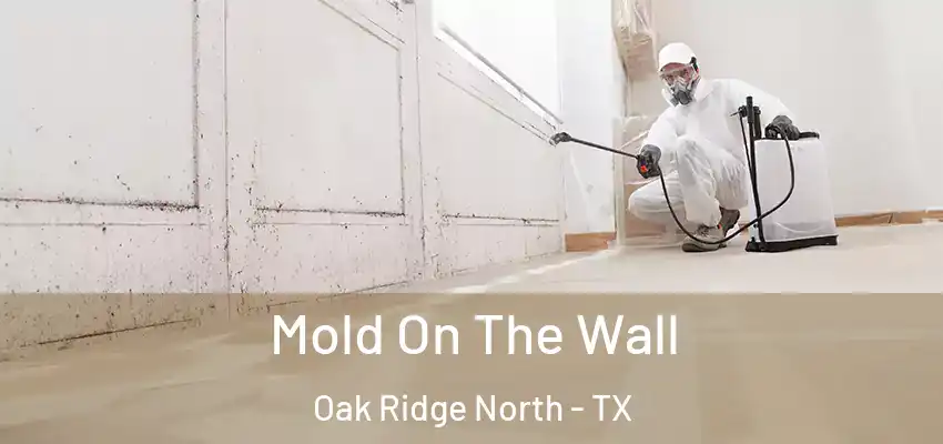  Mold On The Wall Oak Ridge North - TX