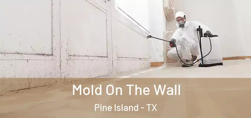  Mold On The Wall Pine Island - TX