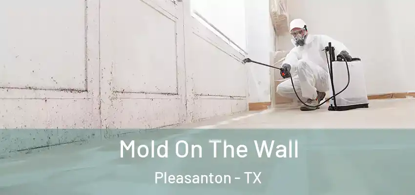  Mold On The Wall Pleasanton - TX