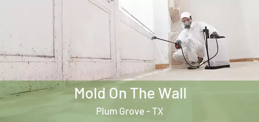  Mold On The Wall Plum Grove - TX