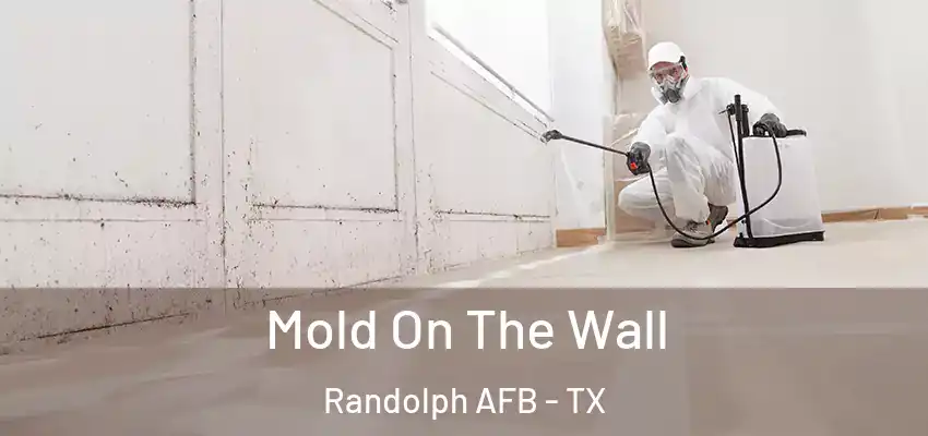  Mold On The Wall Randolph AFB - TX