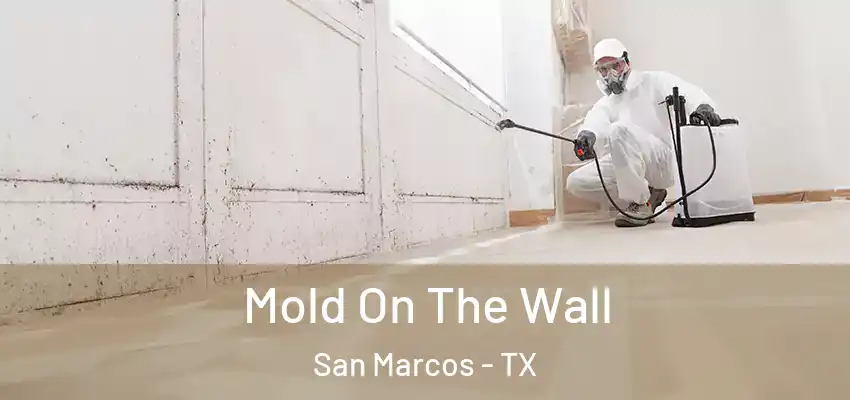  Mold On The Wall San Marcos - TX