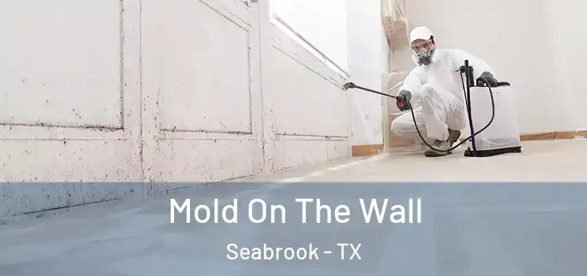  Mold On The Wall Seabrook - TX