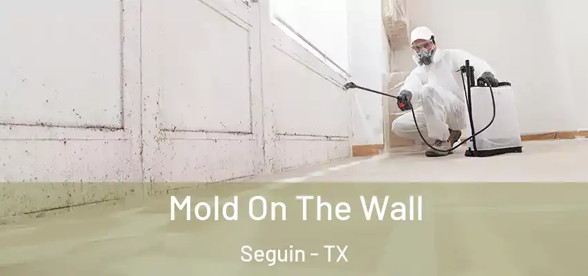  Mold On The Wall Seguin - TX
