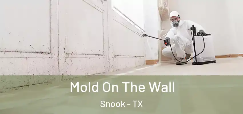  Mold On The Wall Snook - TX