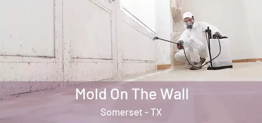  Mold On The Wall Somerset - TX