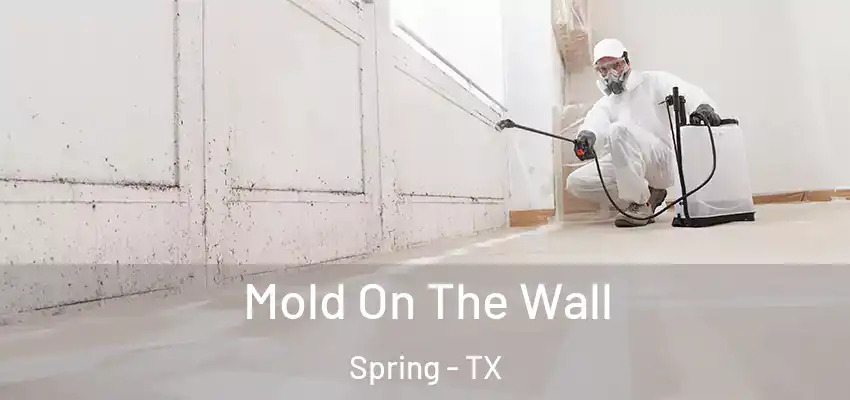  Mold On The Wall Spring - TX