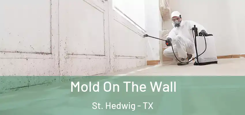 Mold On The Wall St. Hedwig - TX