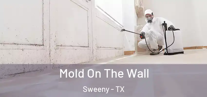  Mold On The Wall Sweeny - TX